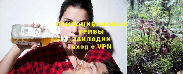 прущая мука Чекалин