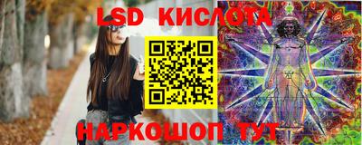 хмурый Кингисепп
