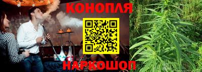 хмурый Кингисепп