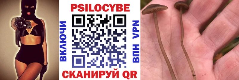 Псилоцибиновые грибы Magic Shrooms  дарк нет наркотические препараты  Луховицы 